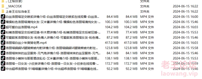 洛丽塔 汉服 古风 精选合集 高质量 [19v-2.16GB]