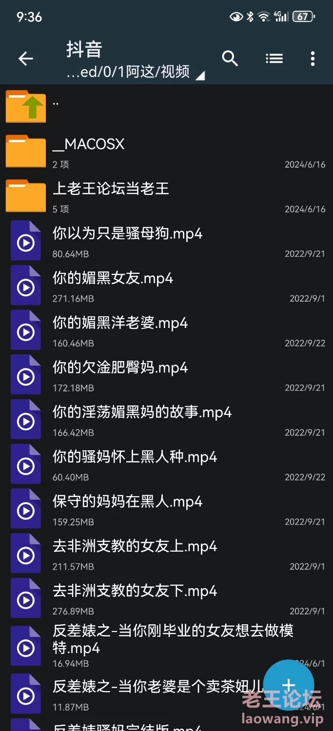 黑桃抖音风 [30多v-3.4GB]