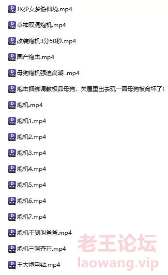 个人收集的国产炮机视频 [17V-3.87GB]