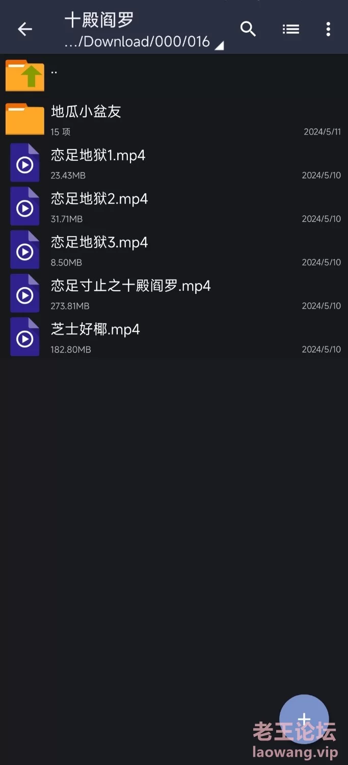 恋足寸止之十殿阎罗 [20-4GB]