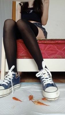 crush 不良女高黑丝语言羞辱碾压金鱼 [8分14秒]