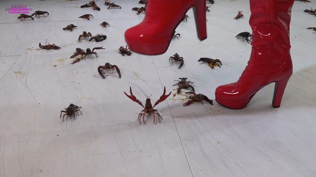 crush Sofia Crayfish [9分14秒]