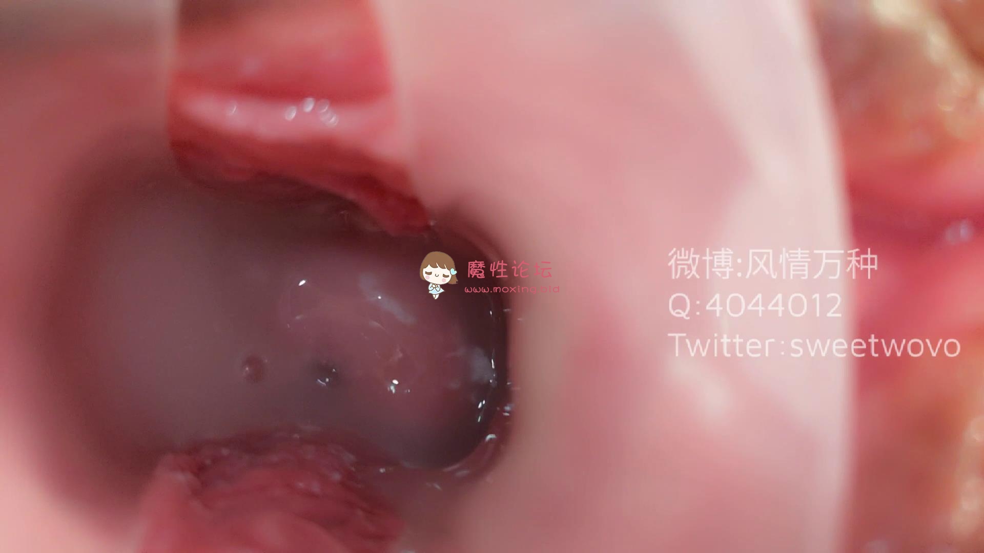 玩具酱（娜美）护士内窥《17p2v/0.98g/百度云》 [-]