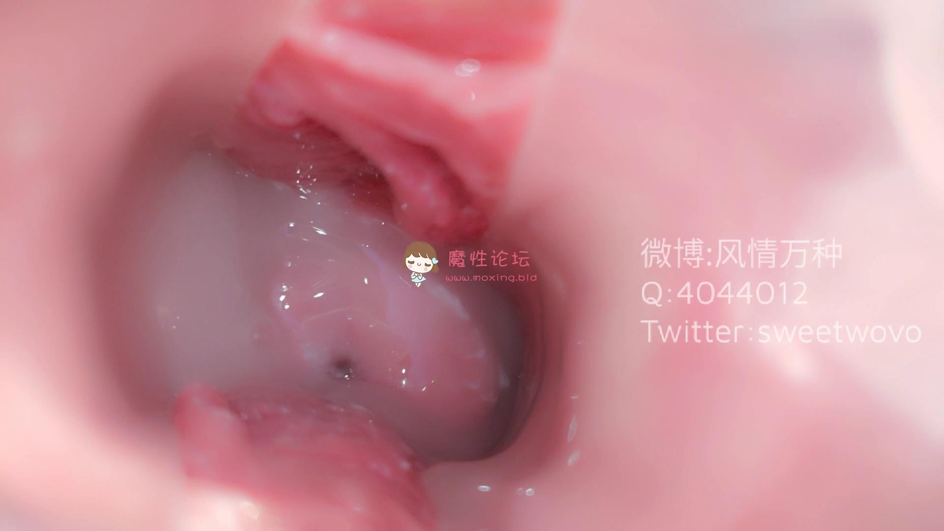 玩具酱（娜美）护士内窥《17p2v/0.98g/百度云》 [-]