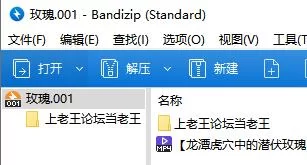《龙潭虎穴中的潜伏玫瑰》 [1v-1g]