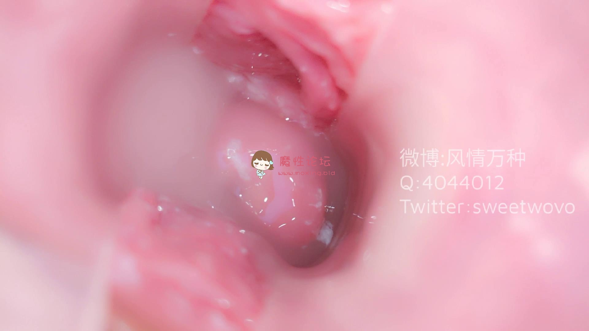 玩具酱（娜美）护士内窥《17p2v/0.98g/百度云》 [-]