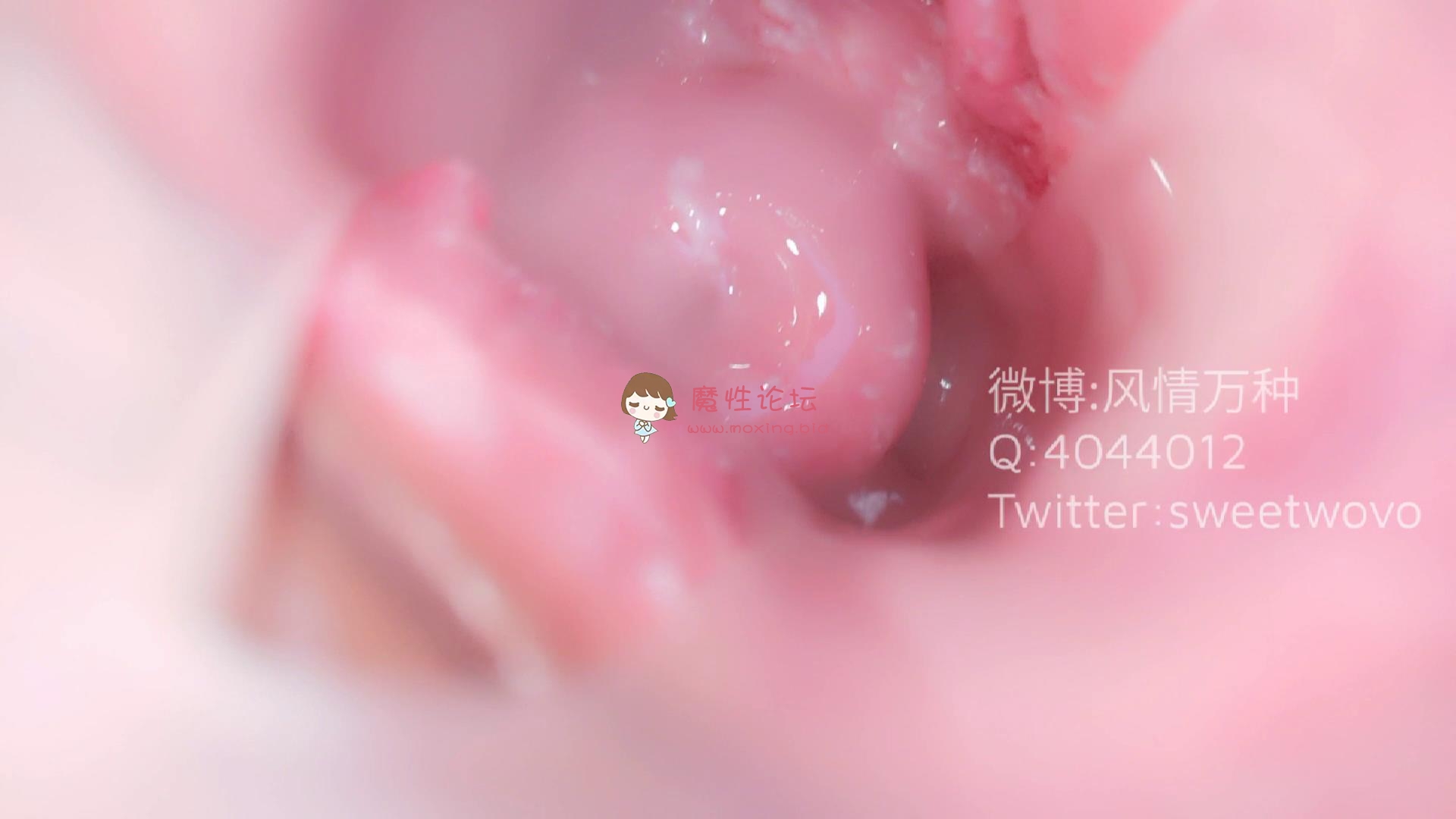 玩具酱（娜美）护士内窥《17p2v/0.98g/百度云》 [-]