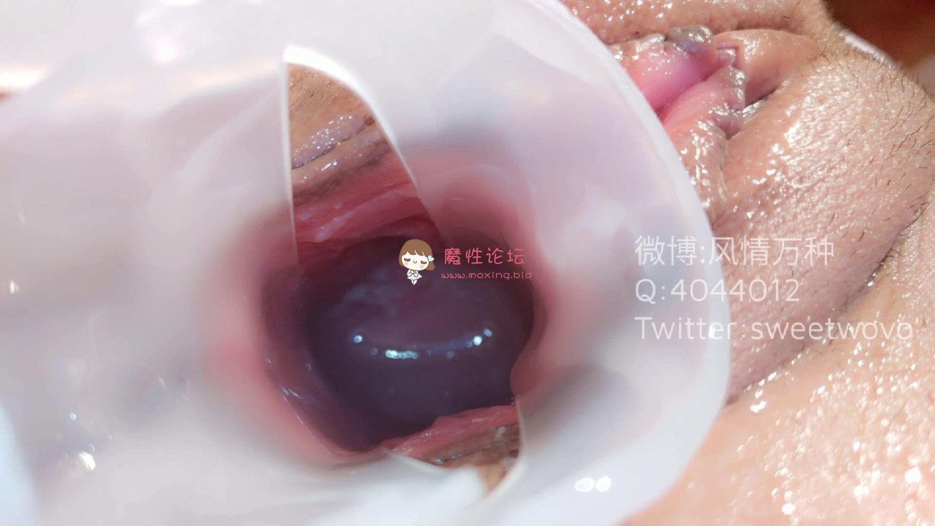 玩具酱（娜美）护士内窥《17p2v/0.98g/百度云》 [-]