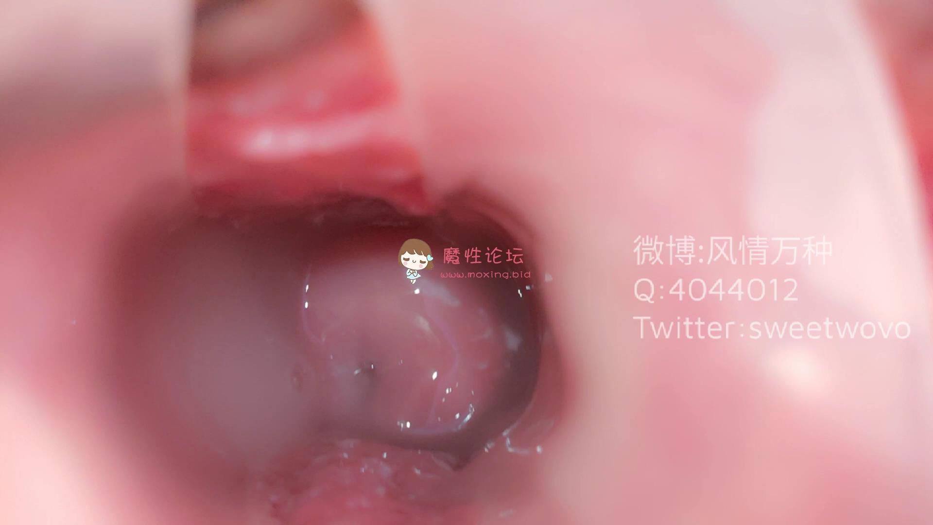 玩具酱（娜美）护士内窥《17p2v/0.98g/百度云》 [-]