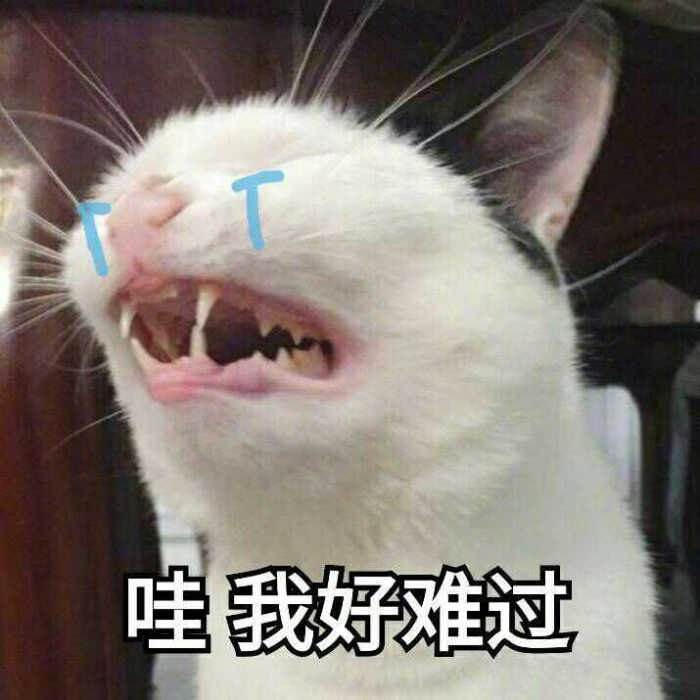 求玩具酱 （娜美 妖姬）露脸图片或视频！ [-]