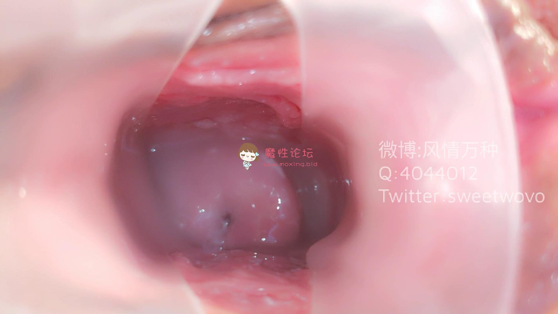 玩具酱（娜美）护士内窥《17p2v/0.98g/百度云》 [-]