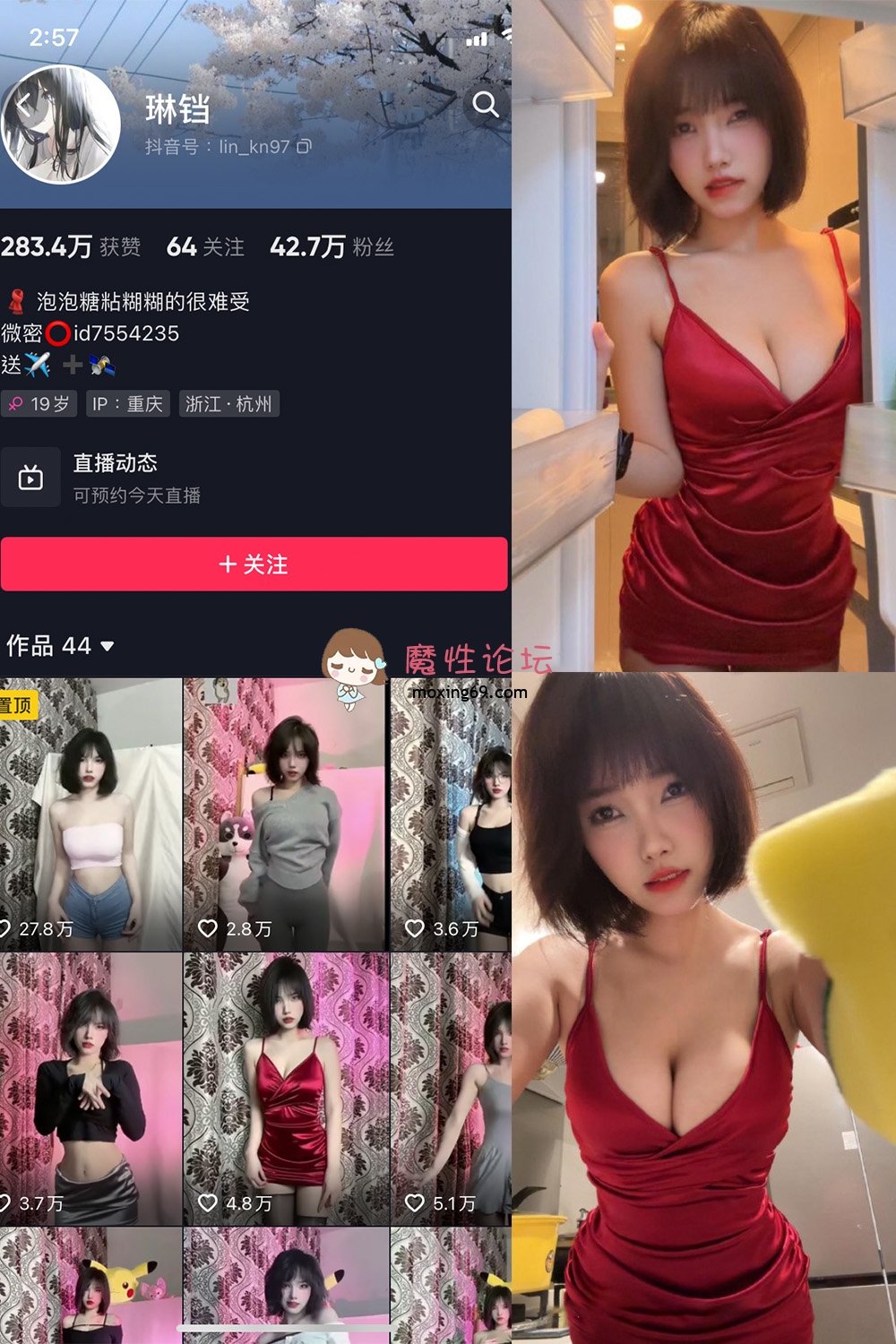 琳铛 微密圈写真合集 45套 NVNP/651M 夸克 [-]
