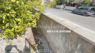 挑战羞耻极限人前全裸丝袜口交美腿娇妻在人来人往两米处为单男口交被操到潮吹死死捂住 [-]