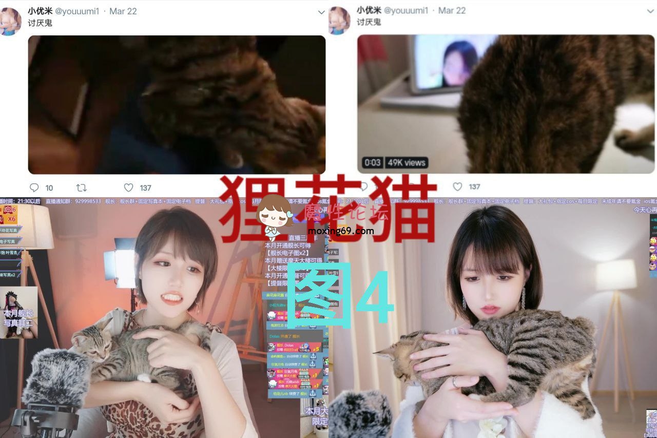 《小仓千代》《年度大瓜》B站直播5年微博百万粉丝巨乳coser竟然是退圈福利姬[81V5509P24.2G][百度盘] [几V多大-]