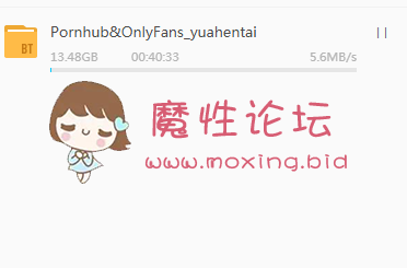 **hub&OnlyFans《yuahentai》合集[NV13.4G][种子] [-]