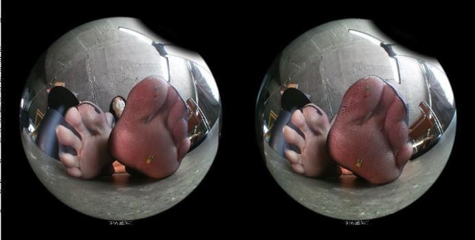 crush 《VR》Huhu\'s Playful white stockings(Tiny3DX 22) [14分49秒]