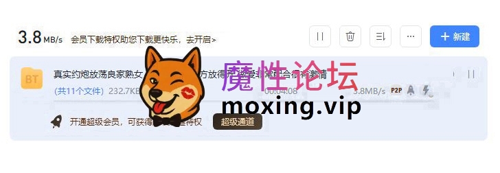 真实约炮放荡良家熟女 身材好开朗大方放得开 做爱非常配合很有激情《1V/1.88G/BT种子》 [-]
