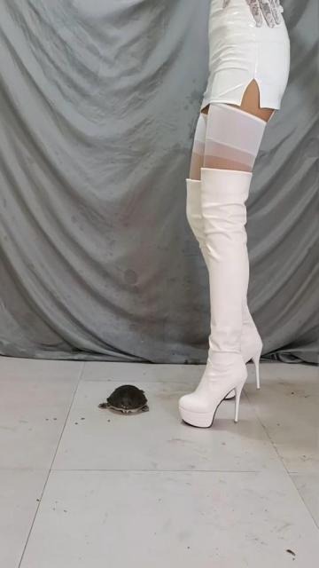 crush 雅伟S，白色长靴残忍踩踏绿王八，全体重狠毒蹍踩脖子，绿王八凄惨吐血 [14分59秒]