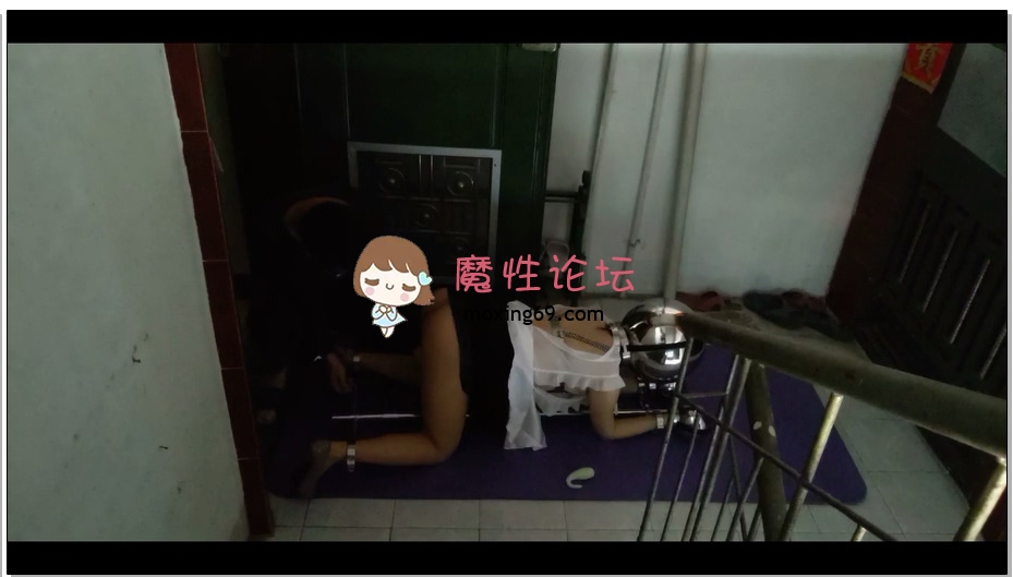 浅浅作品 惊险刺激的楼道k9架调教，震动棒强制高潮，没想到M的声音惊动楼下，赶紧…《1V 1G百度云》 [-]