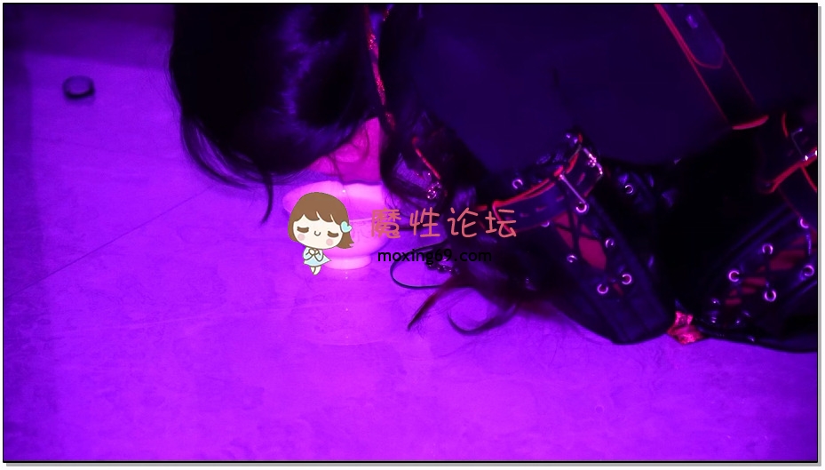 涵涵特辑 k9犬奴调教《1V 1G百度云》 [-]