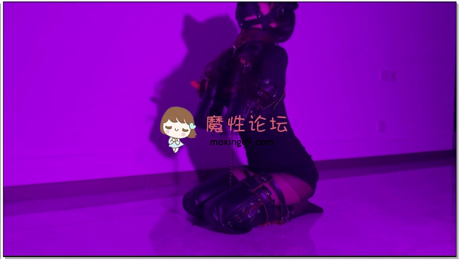 涵涵特辑 k9犬奴调教《1V 1G百度云》 [-]