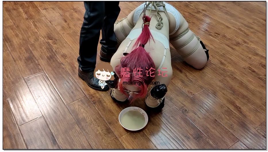 一绳所爱 大学女神陈依依玩K9 下集 大学女神陈依依周末休息的时候，来工作室撸猫《1V 1G百度云》 [-]