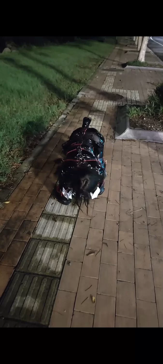 个人收集的一些tk,k9调教视频 [16V-12GB]