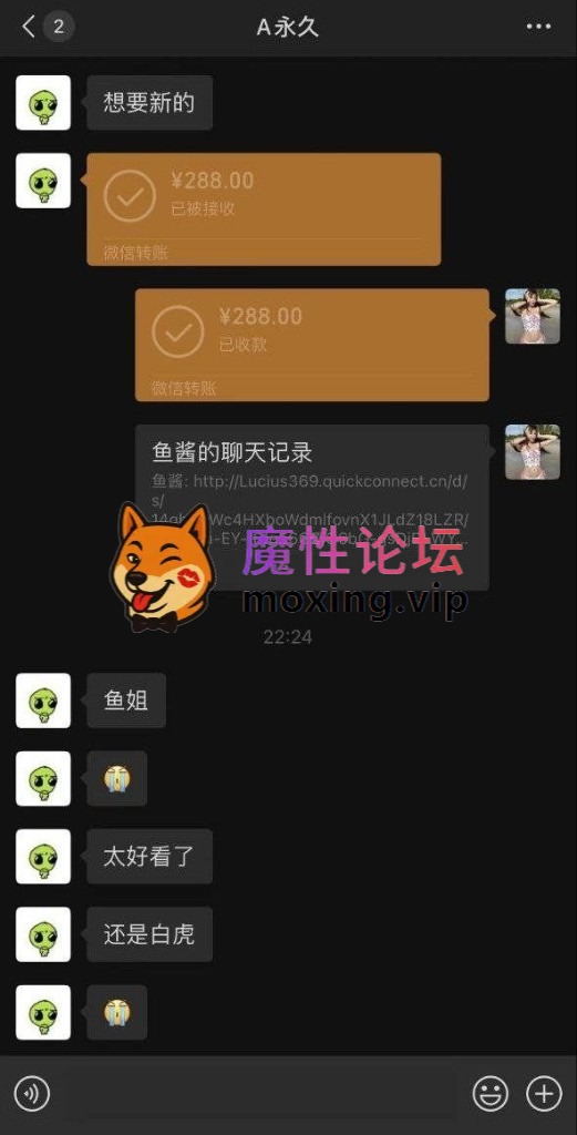 [度盘]抖音225万粉丝网红《鱼神》付费视频流出车内跳弹自慰 无毛白虎（288元） [-]