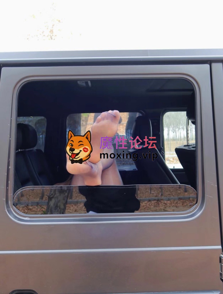 [pikpak]脸红Dearie_ 微密圈网红写真大合集 [50个文件夹3386p+12.4GB] [-]