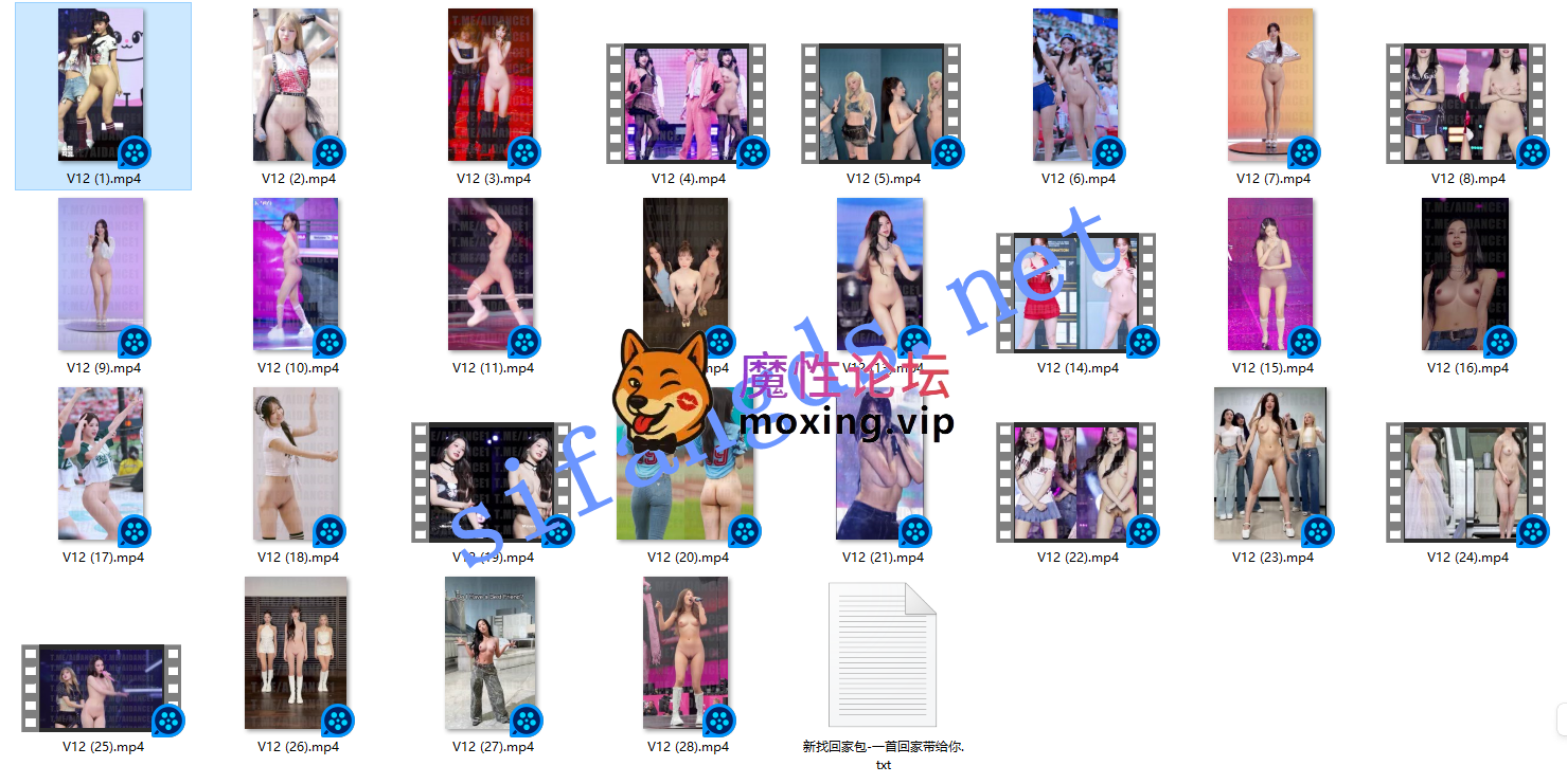 AI大神Aidance原创 韩国女团去衣裸舞MV、饭拍多人同台12弹《28V+2.73G/百度》 [-]