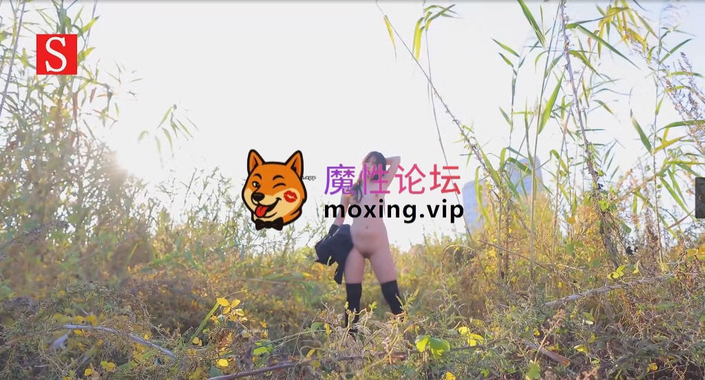 [度盘]顶级模特《小泽》户外露出草丛中脱光自慰，淫液流出 [-]