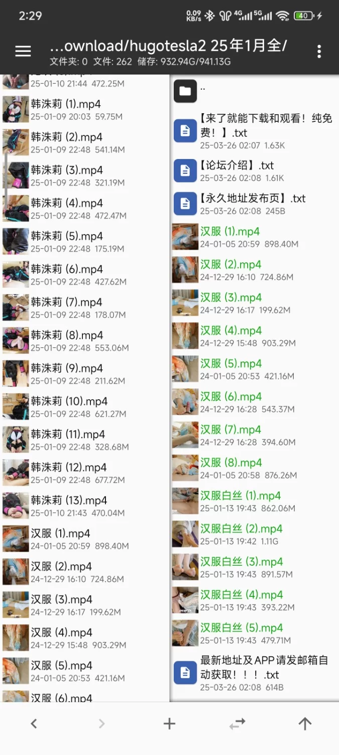 hugotesla2汉服棉袜+白丝足交手交 [13V-8.47GB]