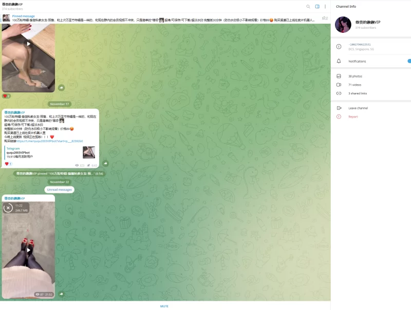 趣趣（猫猫碎冰冰）11月22号新作 telegram自购 无第三方水印 [1V-250MB]