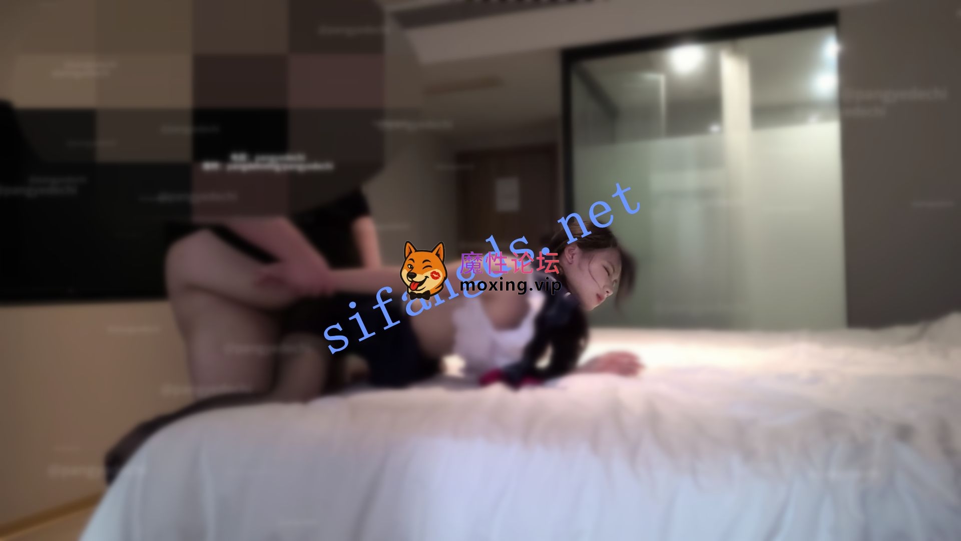 《价值￥160》推特《胖爷的奇妙之旅》千元SVIP门槛(1-5)《5V+6.98G/百度》 [几V多大-]