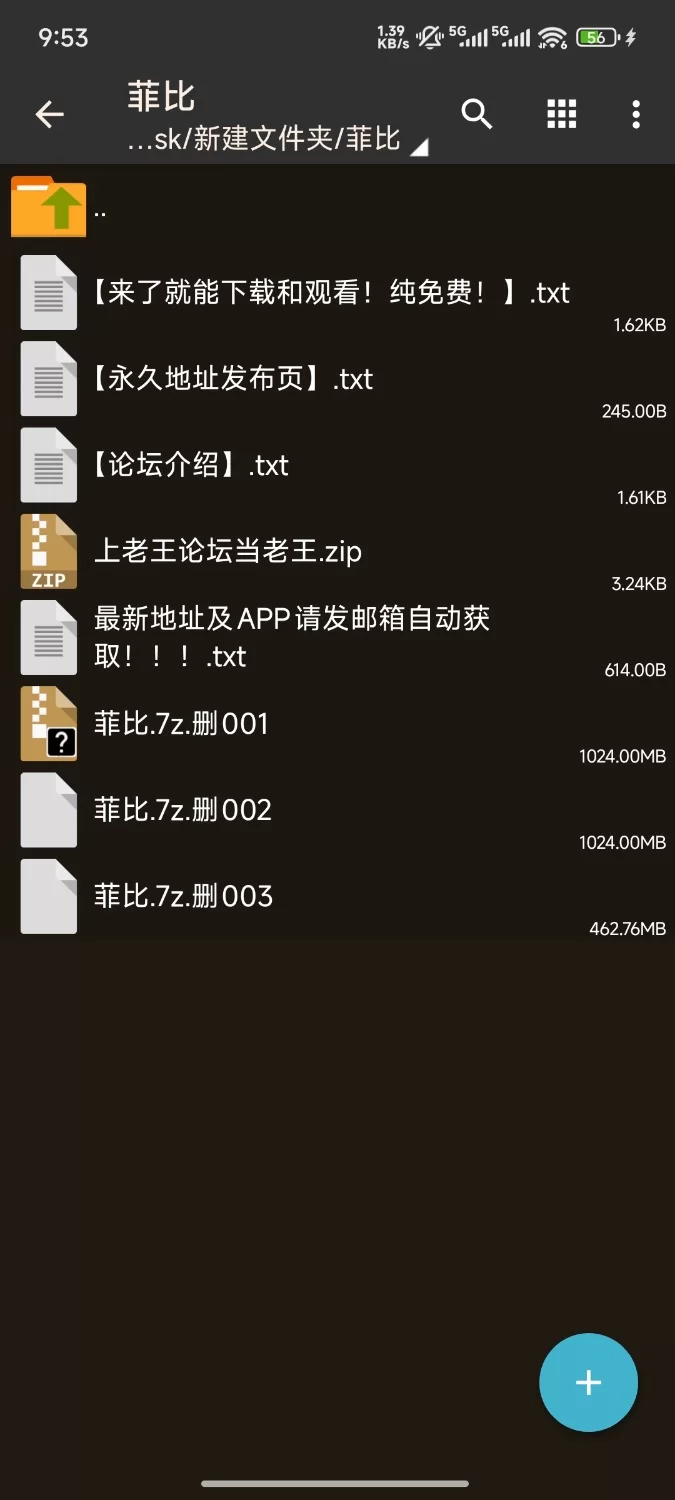 铃木美咲 想成为你的偶像(菲比篇) 双人 [26P1V+2.4G] [26P1V-2.4GB]