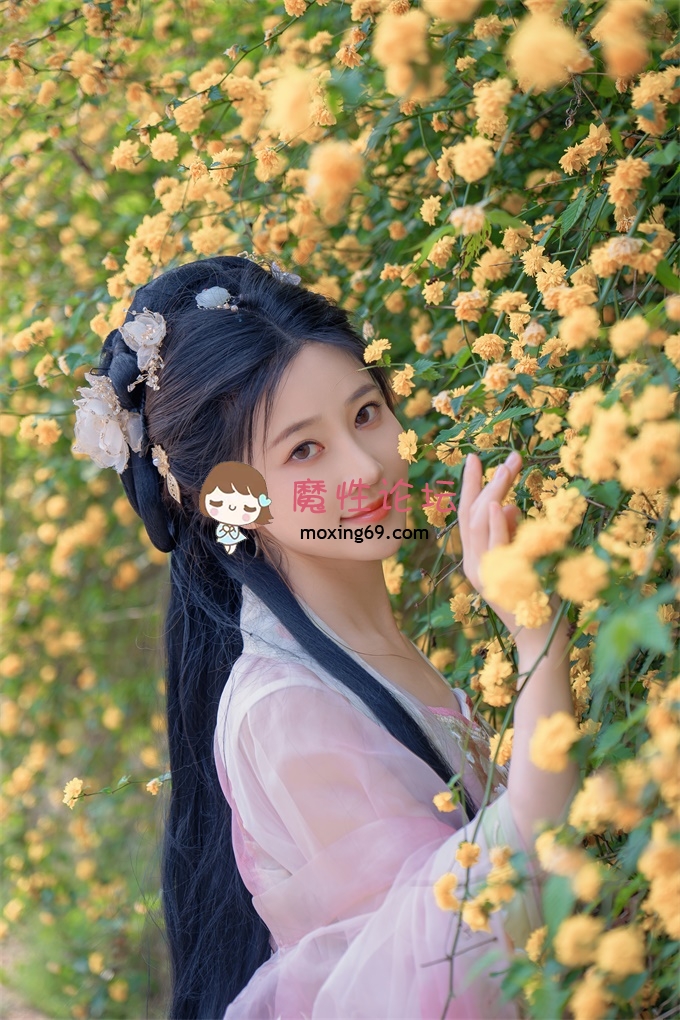 Twitter高端平面美模 SSS级颜值天花板 年年 大尺度艺术写真 海棠仙 视图福利 [84P/343M][百度盘] [-]