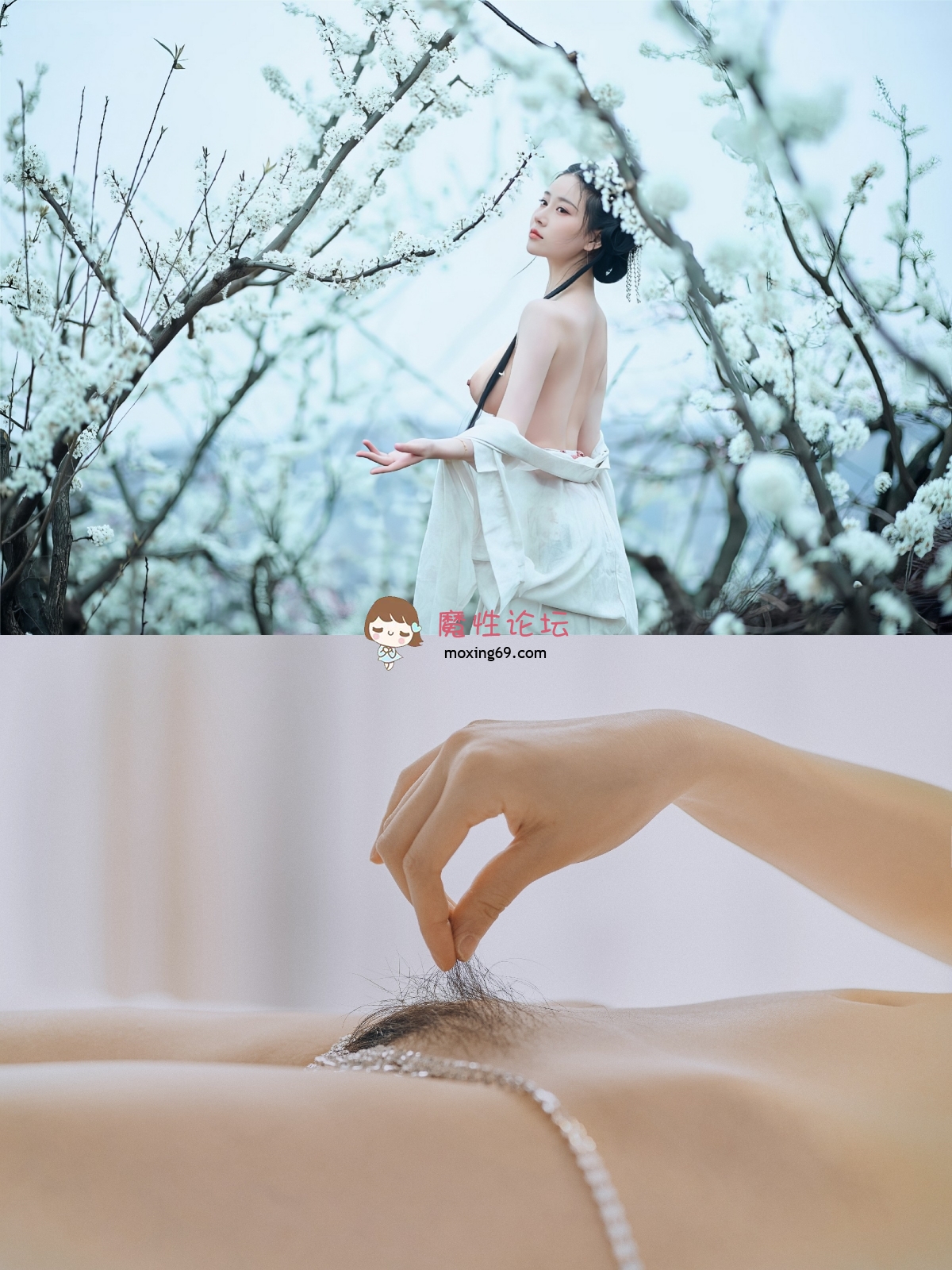 Twitter高端平面美模 SSS级颜值天花板 年年 大尺度艺术写真122期写真合集 [34.3G/5V+5603P/夸克] [几V多大-]