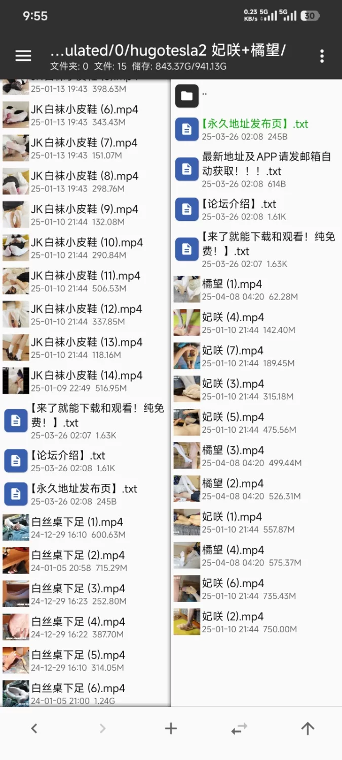 hugotesla2 橘望+妃咲足交鞋交视频 [11v-4.71GB]