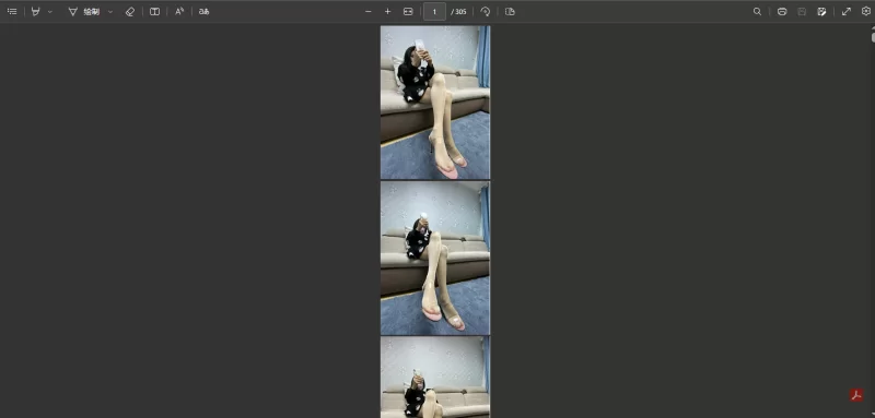 推特网红子柒合集：45V合一（5.66G）305P合1pdf（1.17G+2.11G） [1V 305P 1PDF-9GB]