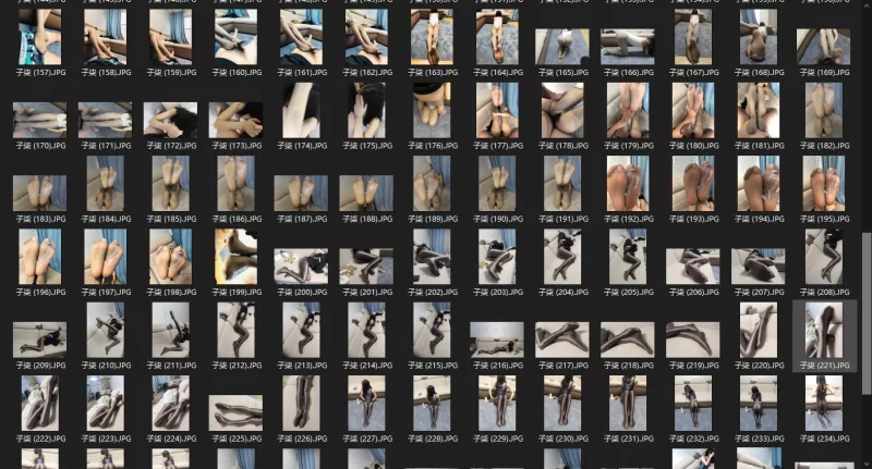 推特网红子柒合集：45V合一（5.66G）305P合1pdf（1.17G+2.11G） [1V 305P 1PDF-9GB]