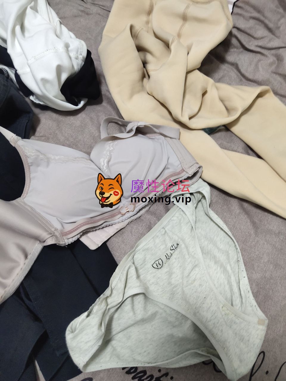 淫妻分享，淫而不绿，只为给生活增添点色彩 [-]