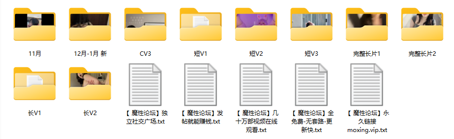 阿黑颜福利姬噗噗pupu《Aheyanlz》大合集 [336V 112G] [-]