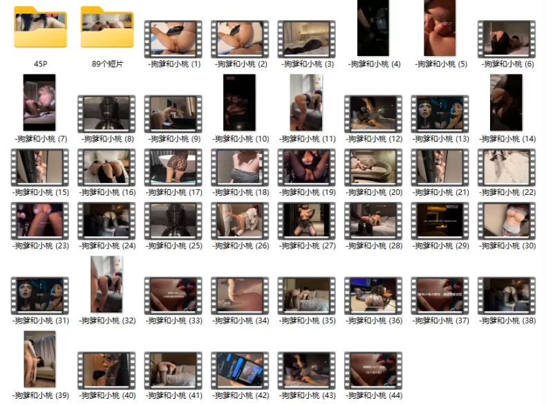 人形肉便器 狗爹和小桃 合集 [44大视频+89短片+45P-29.8GB]