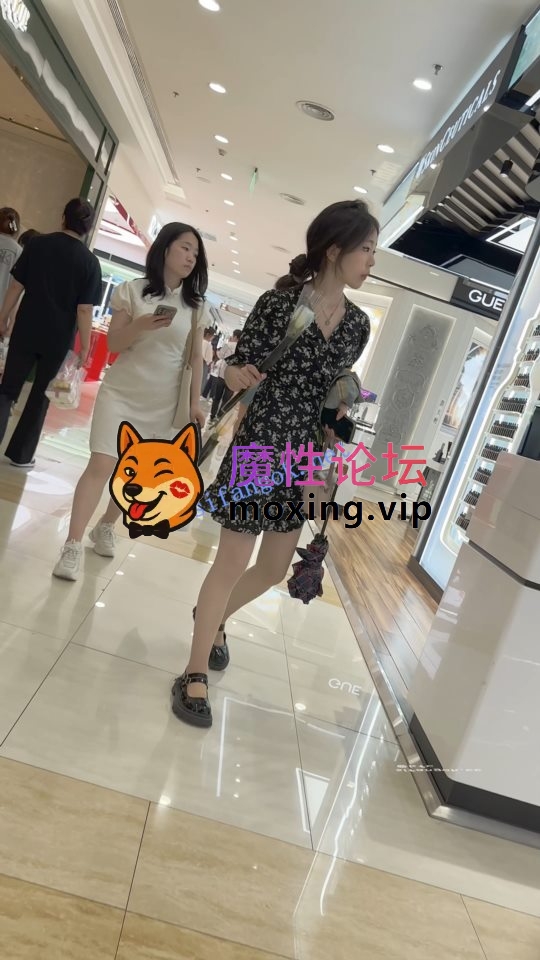 trump1383《KFC》长裙学生妹和闺蜜逛街·拿着花四处找帅哥·肉丝袜粉内《1V+636M/百度》 [-]