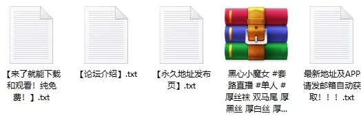 《玩物直播》《黑心小魔女》厚丝袜 双马尾 厚黑丝 厚白 [9V-1.48GB]