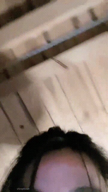 [BT]最新blacked高价极品巨乳dj女优苏樱花sakura高级媚黑肉搏黑猩猩骑乘后入中出内射120 [-]