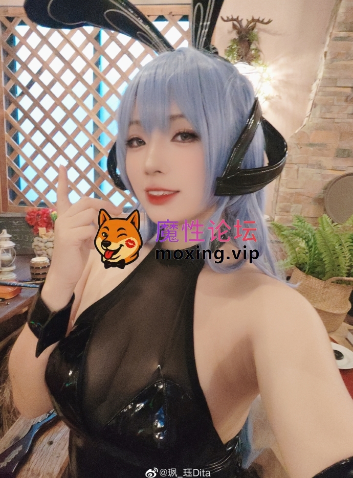 珟_珏Dita 9套合集 448P+12V-5.38G  《百度云》 [-]