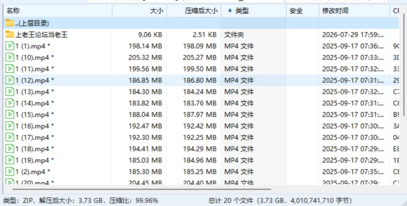 king8 舞团 温岚1期 双视角 [20v-3.73GB]
