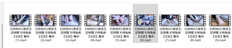 玄武炸精 [10长视频 17短视频-7.91GB]