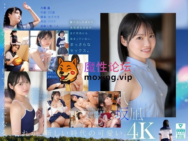 《MP4/19.06 GB》《BT下載》《高中生美少女系列第1311彈》 [-]